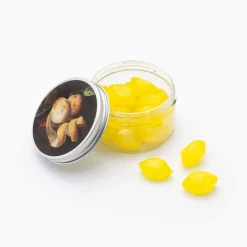 Drops. Peeter Gysels, «Stilleben med frukter og papegøye»